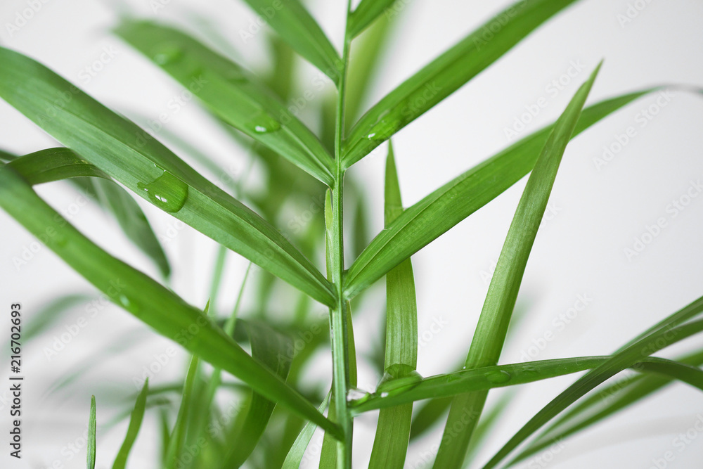 Obraz premium Panoramic top view of the sky with clouds, green forest and field.