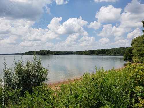 A lakeside oasis