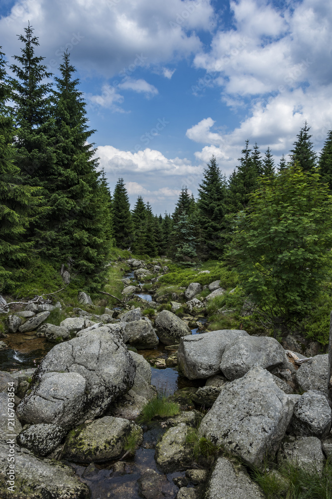 A brook flowing around stones and rock in the valley. Typical tundra nature. A brook flowing around stones and rock in the valley. Typical tundra nature.