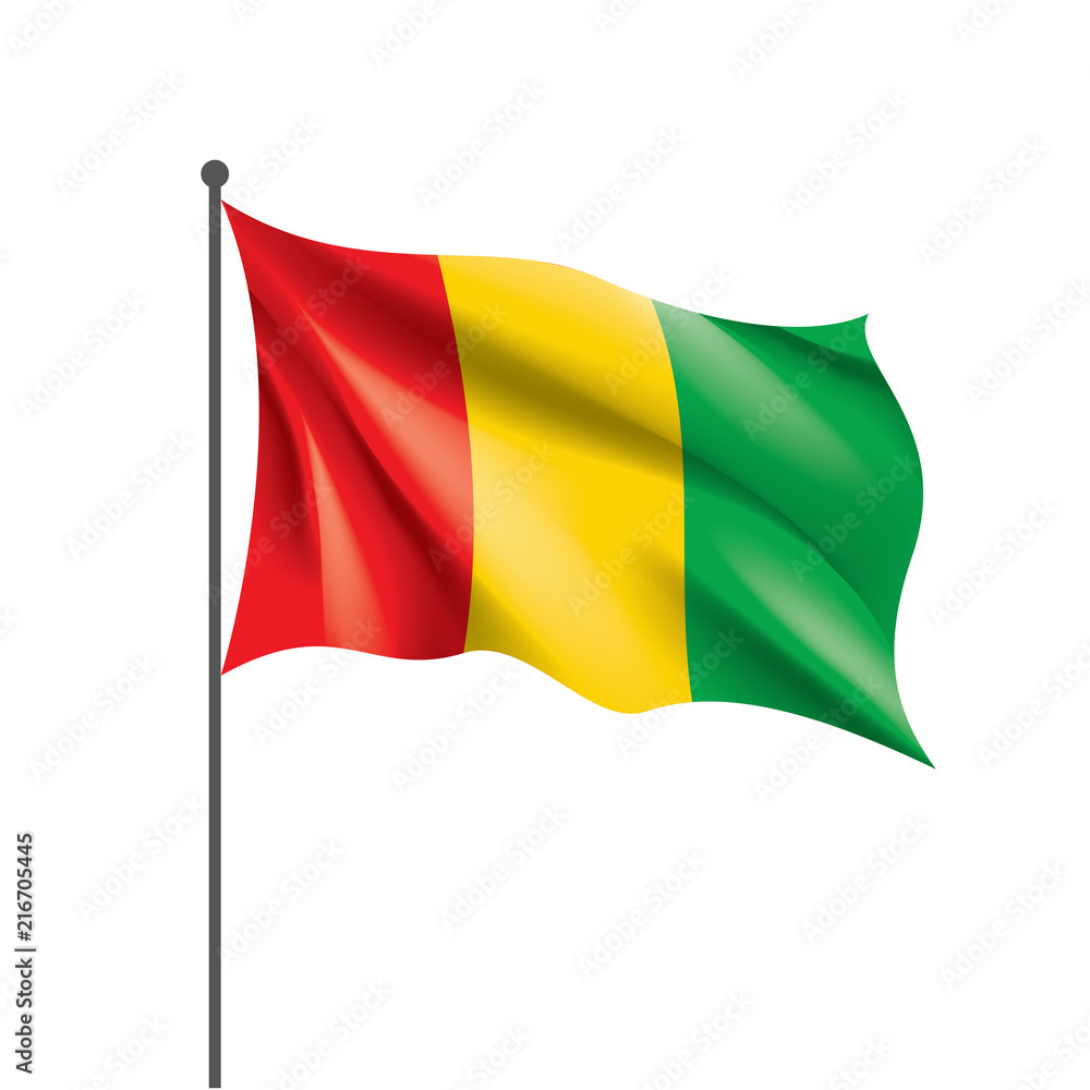 Obraz premium guinea flag, vector illustration