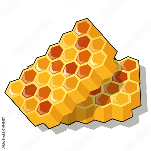 Sweet golden honeycomb with honey isolated on white background. Natural healthy food. Vector cartoon close-up illustration.