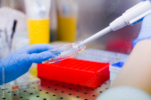 Laboratory work with tissue cultures