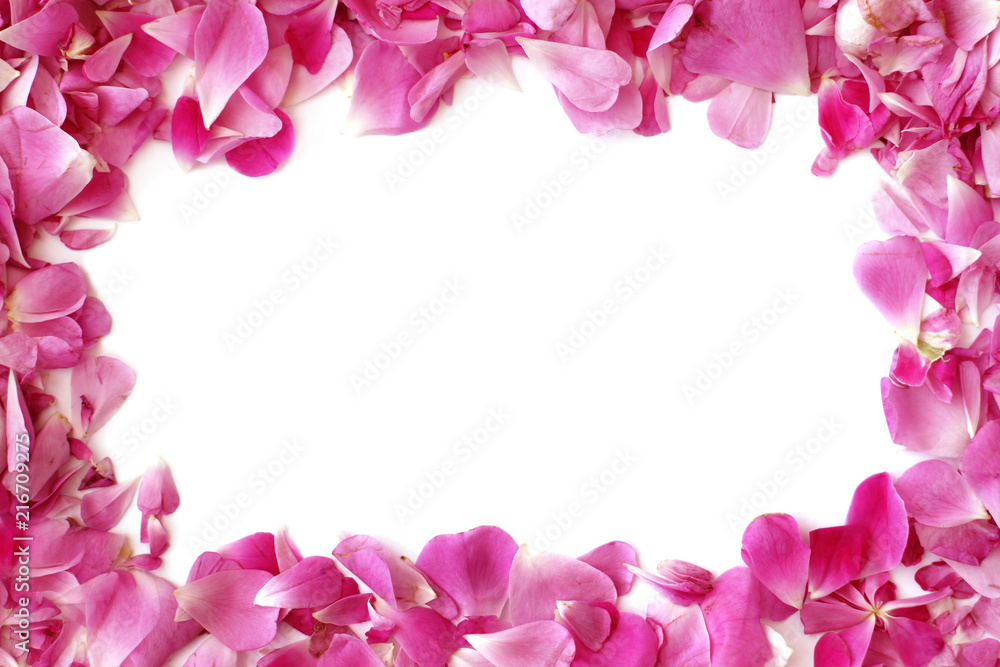 Frame from pink rose petals with place for test or photo Frame from pink rose petals with place for test or photo