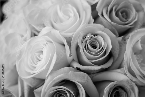 Fototapeta Naklejka Na Ścianę i Meble -  Engagement Ring in a Rose Black and White