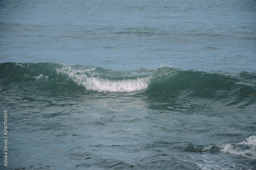 Wave Wave