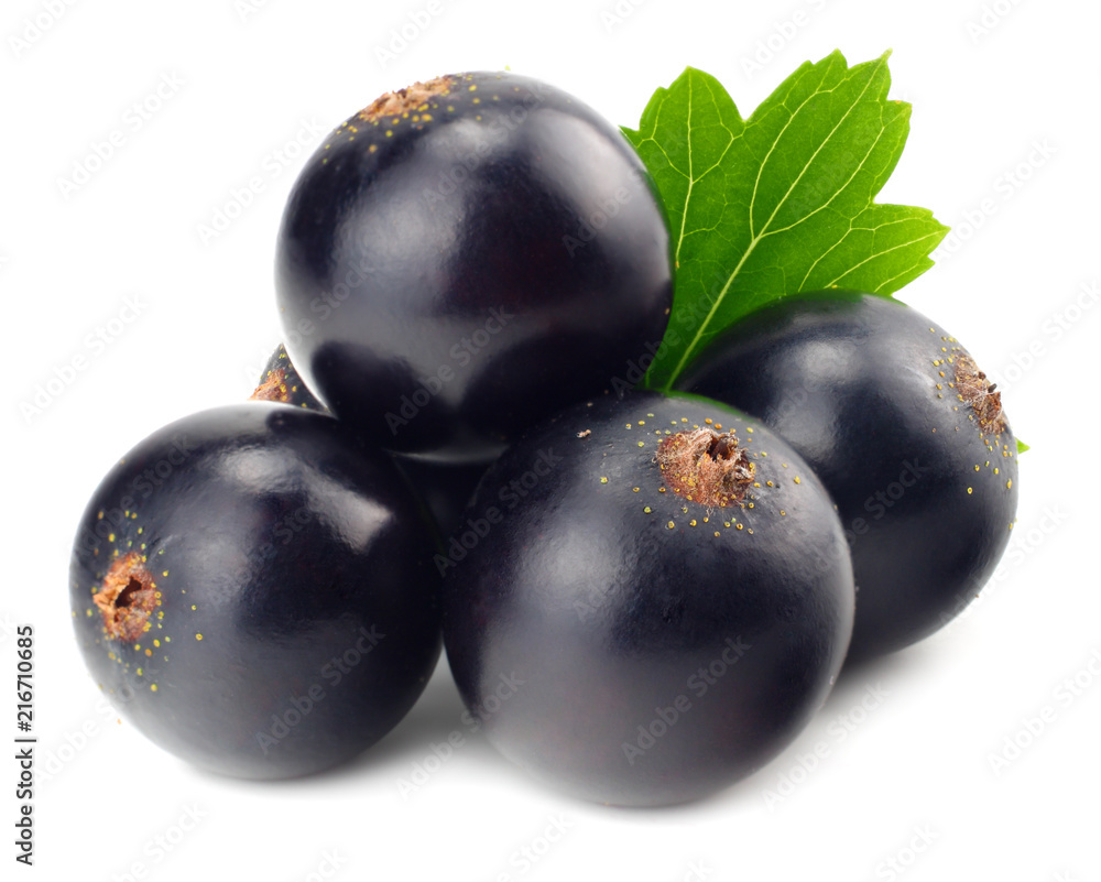 black currant with green leaf isolated on white background. macro black currant with green leaf isolated on white background. macro