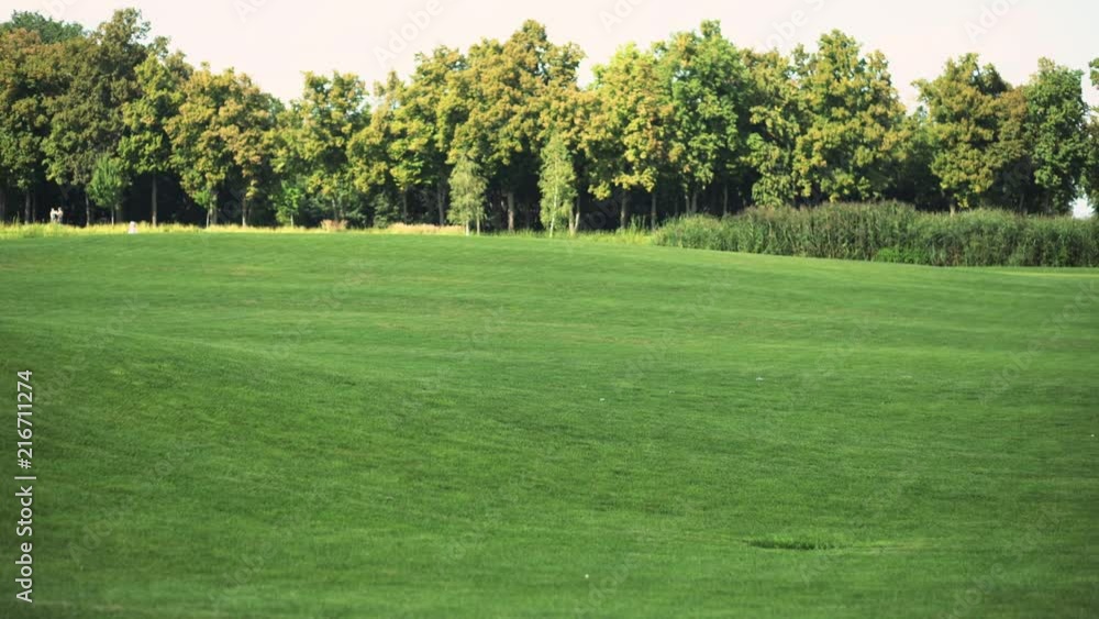 Golf course with a green lawn and trees on a summer sunny day Golf course with a green lawn and trees on a summer sunny day