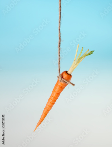 Carrot bait on a string photo