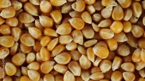 Chicci di mais bio