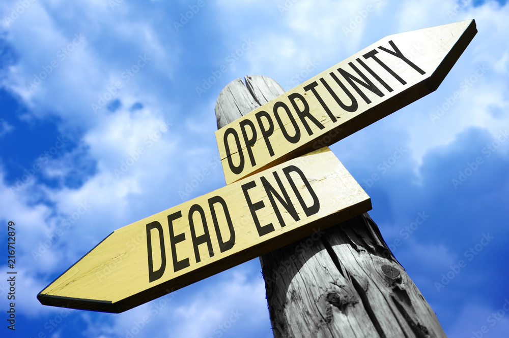 Fototapeta premium Opportunity, dead end - wooden signpost