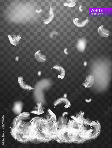 Falling twirled realistic feathers isolated on a transparent background. Easy style, can be used in flyers, banners, web. Light cute feathers design. Elements for design. Vector illustration.