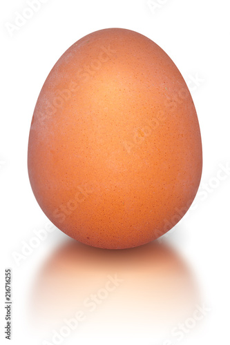 chicken egg isolated background with reflection / bright colorful object photo with reflection