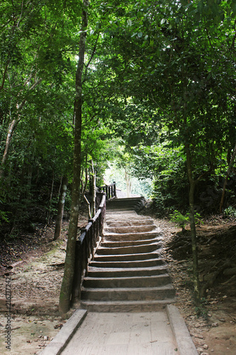 Rustic stairs climbing Erawan Falls, tropical forest in Kanchanaburi province, Thailand.