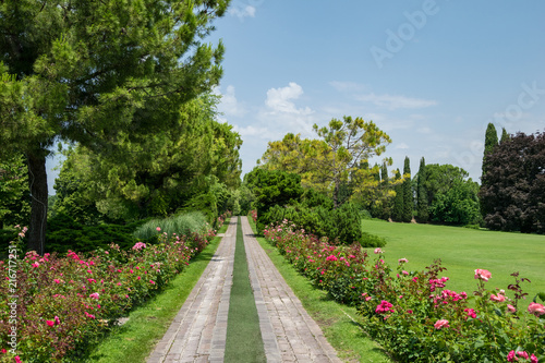 Parco Giardino Sigurtà - Viale delle Rose (Valeggio sul Mincio, Verona, Italia)