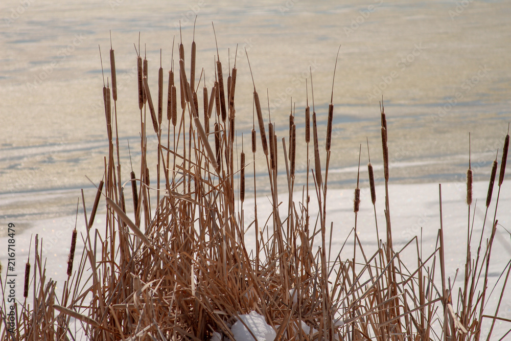 Fototapeta premium Great Salt Lake Landscapes