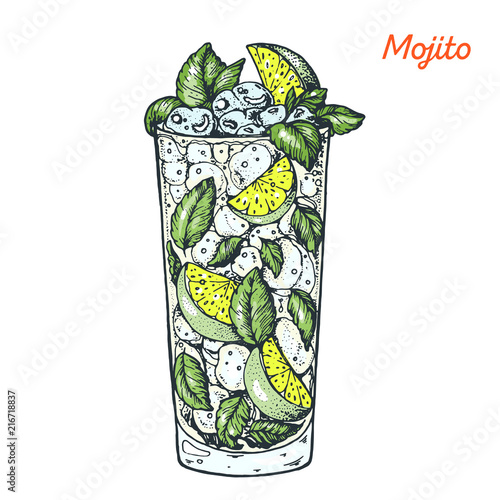 Mojito cocktail illustration. Alcoholic cocktails hand drawn vector illustration.