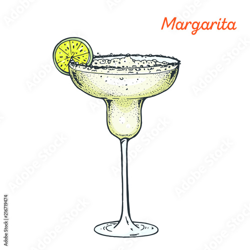 Margarita cocktail illustration. Alcoholic cocktails hand drawn vector illustration.