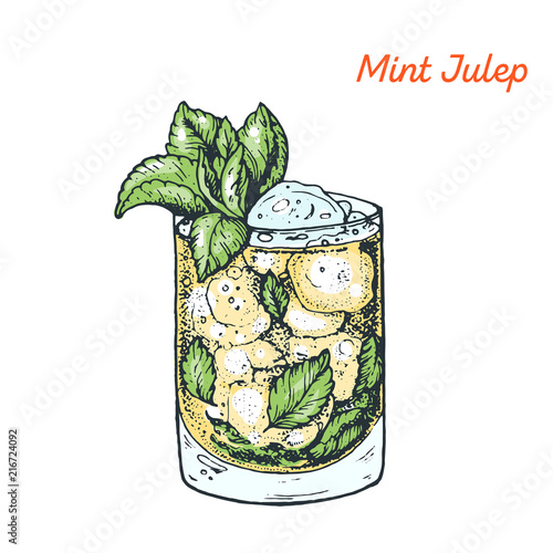 Mint Julep cocktail illustration. Alcoholic cocktails hand drawn vector illustration.