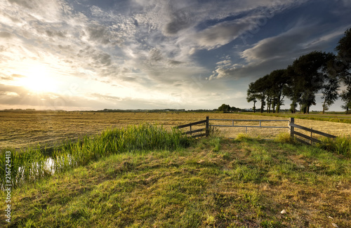 sunlight over Dutch farmland in summer