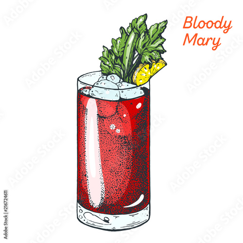 Bloody Mary cocktail illustration. Alcoholic cocktails hand drawn vector illustration.