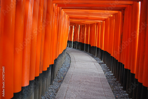 Photography My path image. Torii Gate Temple in Kyoto, Japan