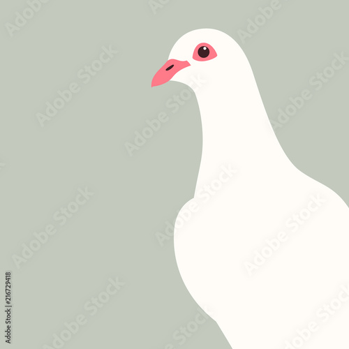 dove bird vector illustration flat style front 