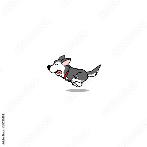 Cute siberian husky running, vector illustration