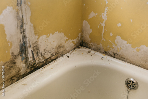 The old wall in the bathroom is covered with mold due to humidity in the room. photo