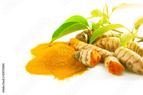 Turmeric roots and powder isolated on white photo