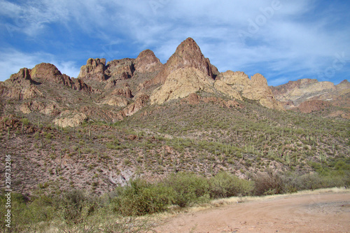 Scenic View of Mountains on the Apache Trail Highway © Tyger Gilbert