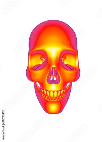 3d illustration of human skull