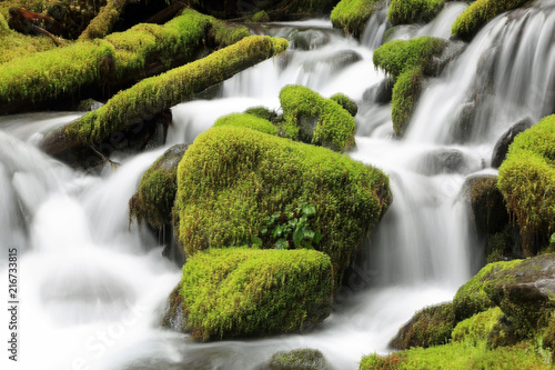 Washington Stream