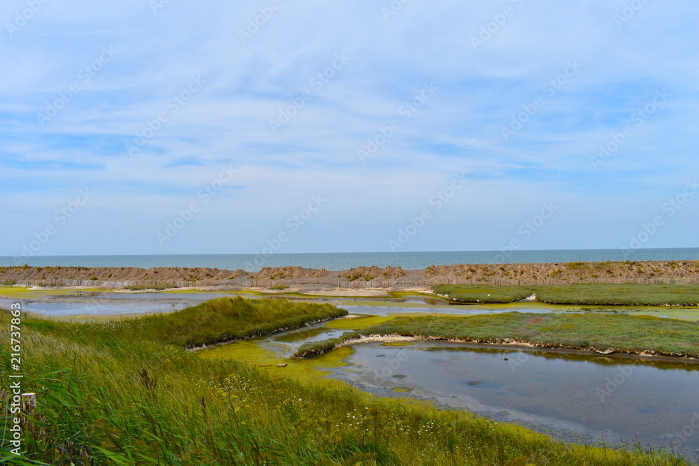 Local Nature Reserve, Herne bay, Kent, UK, August, 2018