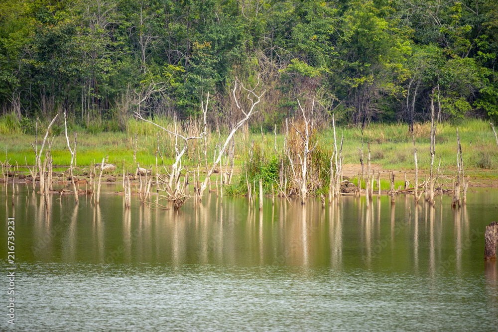 Obraz premium Mountain lake landscape