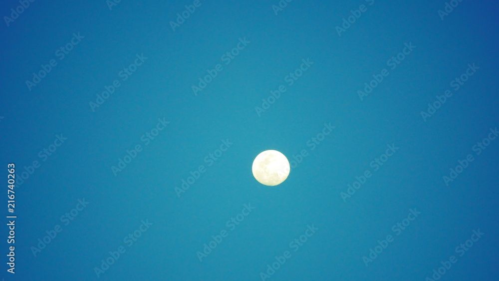 Full moon in the blue - background landscape Full moon in the blue - background landscape