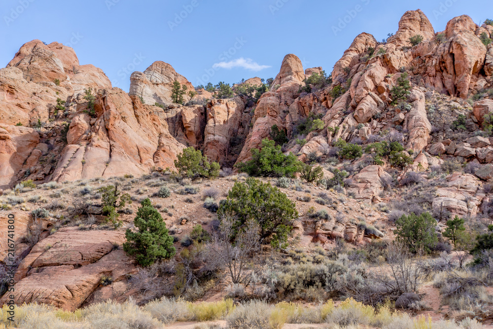 Beautiful Utah Desert 