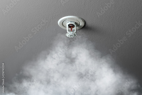Murais de parede fire alarm sprinkler system in action with smoke