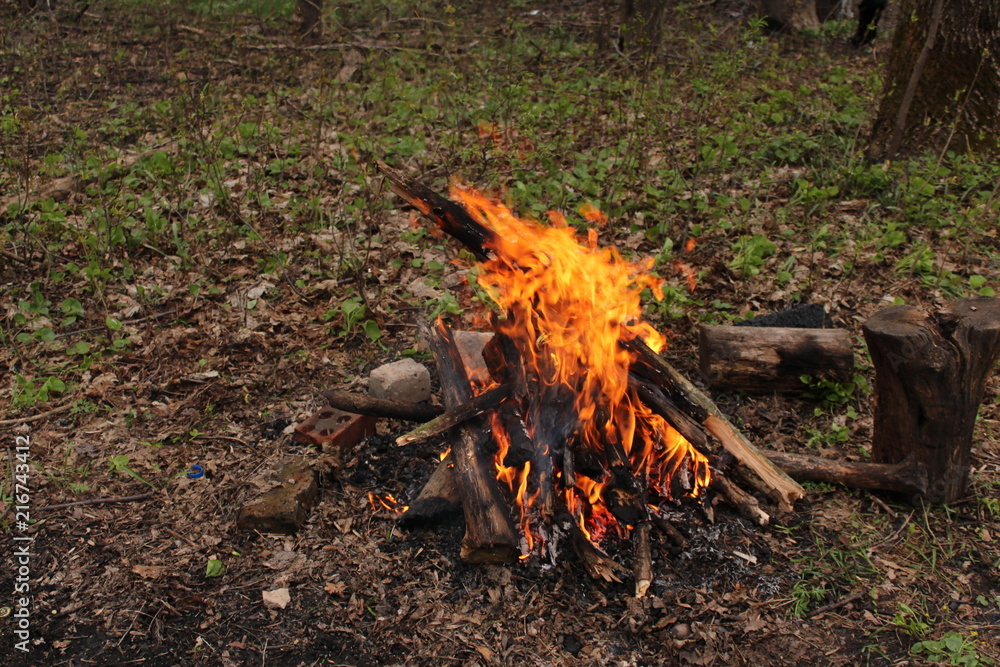 Logs of wood, burn bright red fire. Flame of fire. Logs of wood, burn bright red fire. Flame of fire.