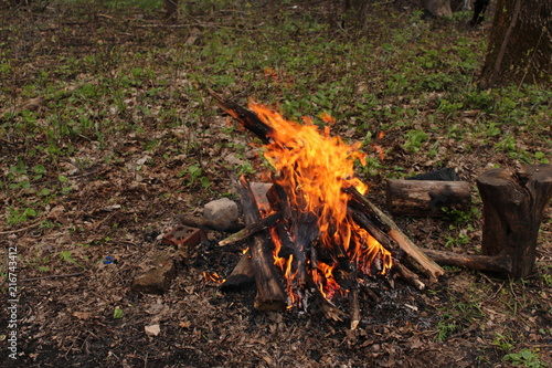 Logs of wood, burn bright red fire. Flame of fire.
