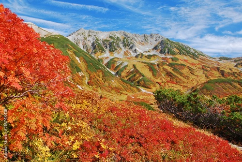 Plakat 立山 / 富山 秋・紅葉