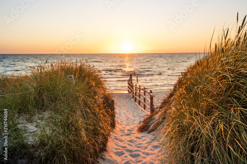 Fototapeta Naklejka Na Ścianę i Meble -  Dünen am Strand