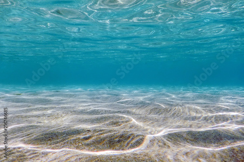 Canvas Print Sandy sea bottom Underwater background