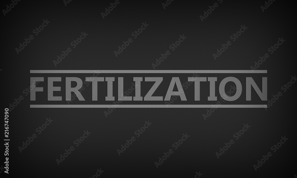 Fertilization Fertilization