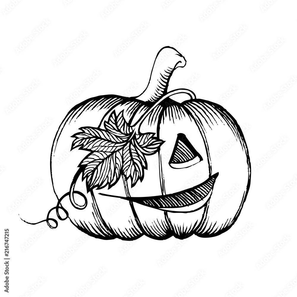 Easy Halloween Pumpkin Drawing | 👻 How to Draw Halloween Pumpkin Easy  St... | Pumpkin drawing, Halloween drawings, Easy drawings