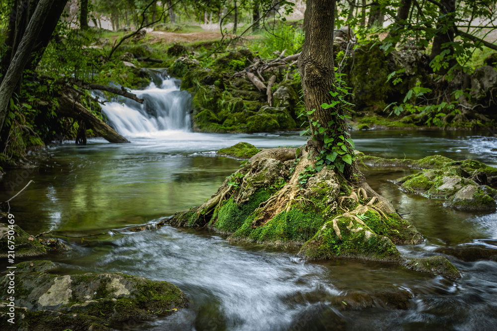 Small tree growing in river with falling small cascade in long exposure on background Small tree growing in river with falling small cascade in long exposure on background