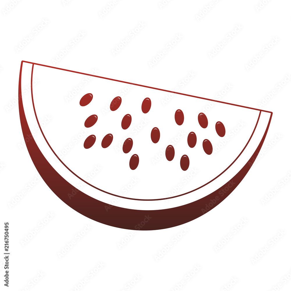 Watermelon sliced fruit vector illustration graphic design Watermelon sliced fruit vector illustration graphic design