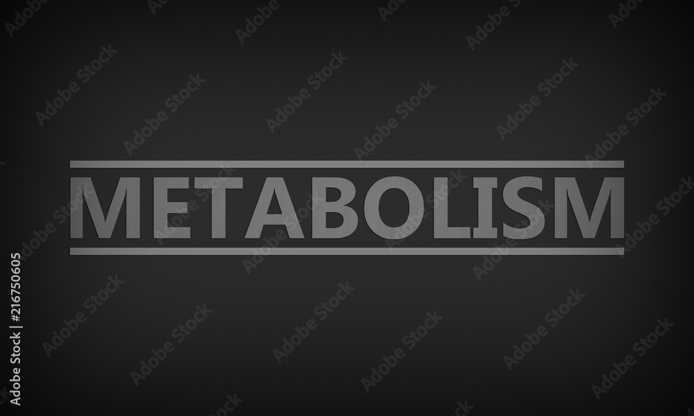 Metabolism