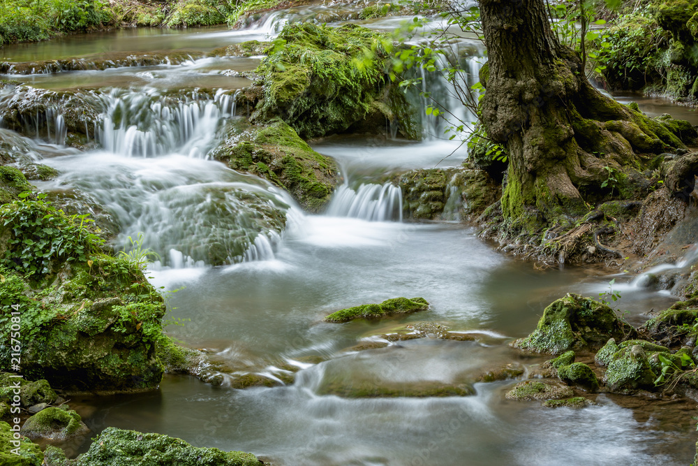 River with small cascades flowing in green forest in long exposure River with small cascades flowing in green forest in long exposure