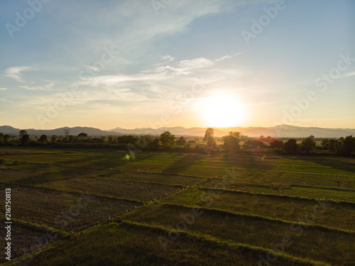 Sunset at rice field