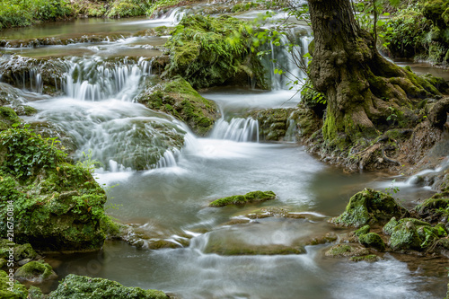 River with small cascades flowing in green forest in long exposure